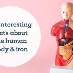 10 interesting facts about the human body and iron