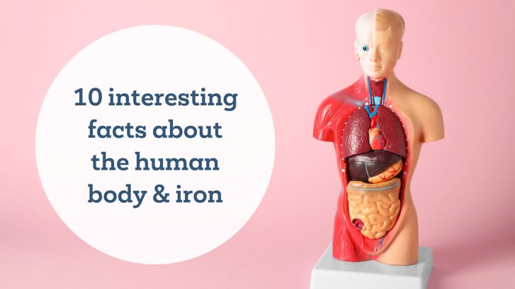 10 interesting facts about the human body and iron