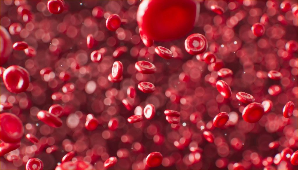 The Difference Between Iron Deficiency and Anaemia